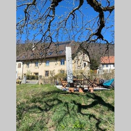 Marin Voeens, St-Blaise, Logement Entier - 2 Chambres מראה חיצוני תמונה